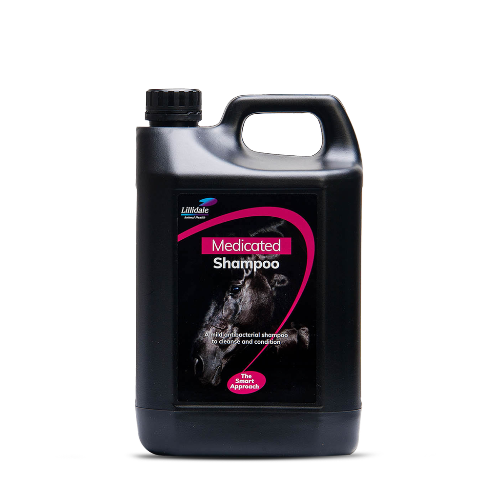 Lillidale Medicated Shampoo