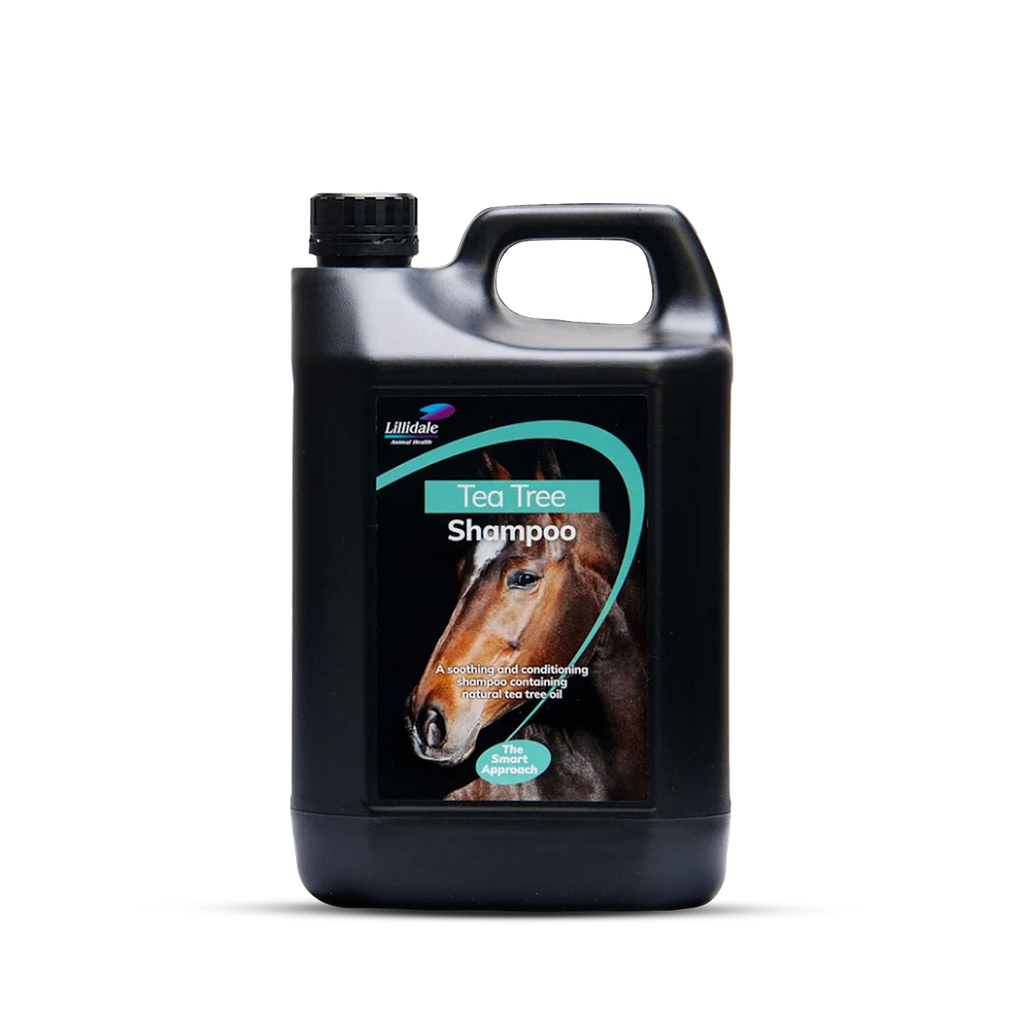 Lillidale Tea Tree Shampoo