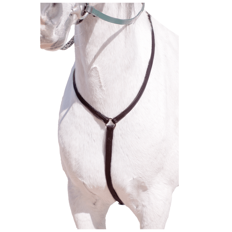 Capriole Y Type Breastplate