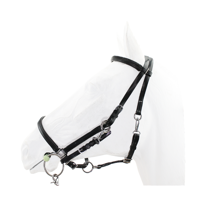 Endurance Bridle