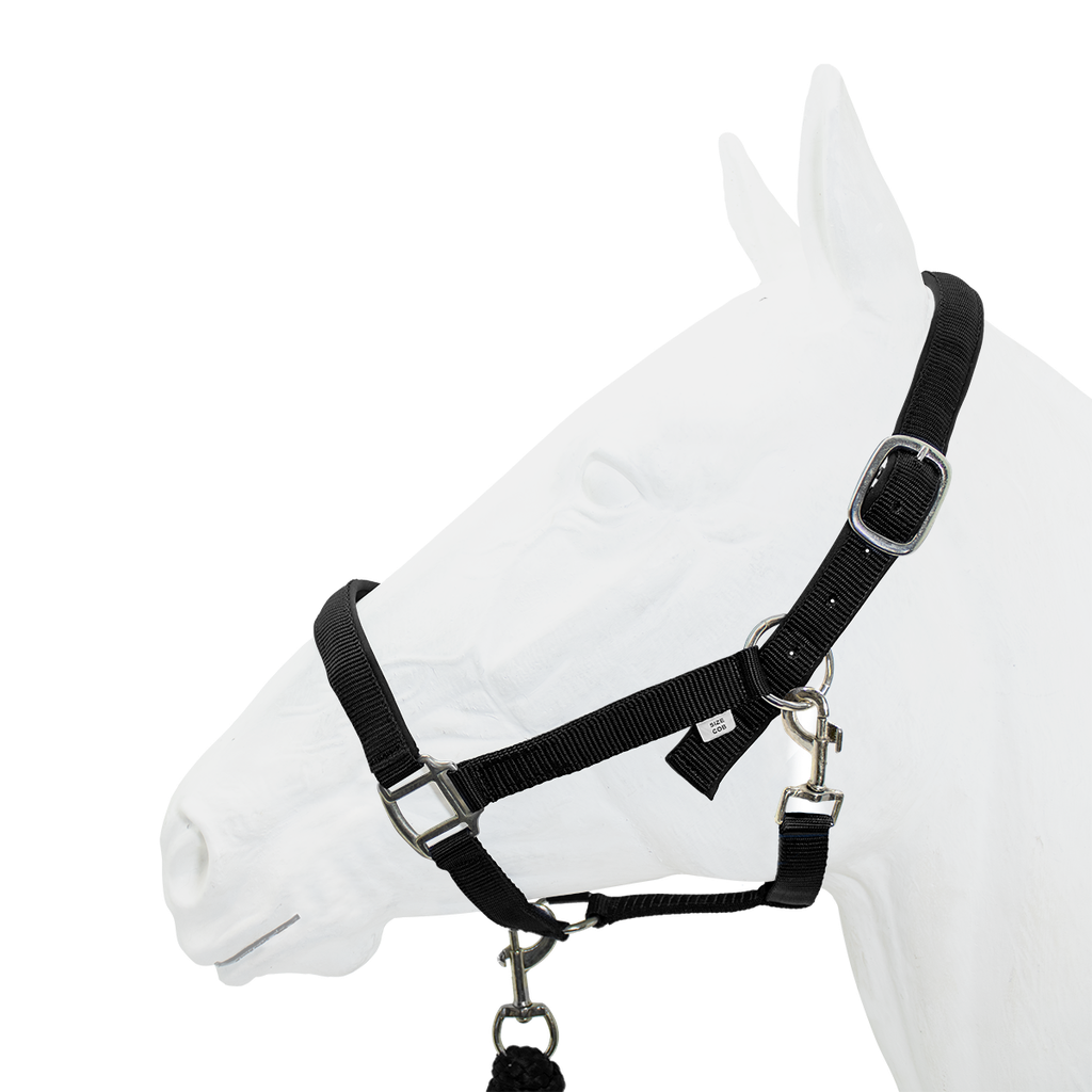 Equistyle Padded Halter with Rope Lead