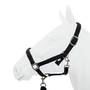 Equistyle Padded Halter with Rope Lead