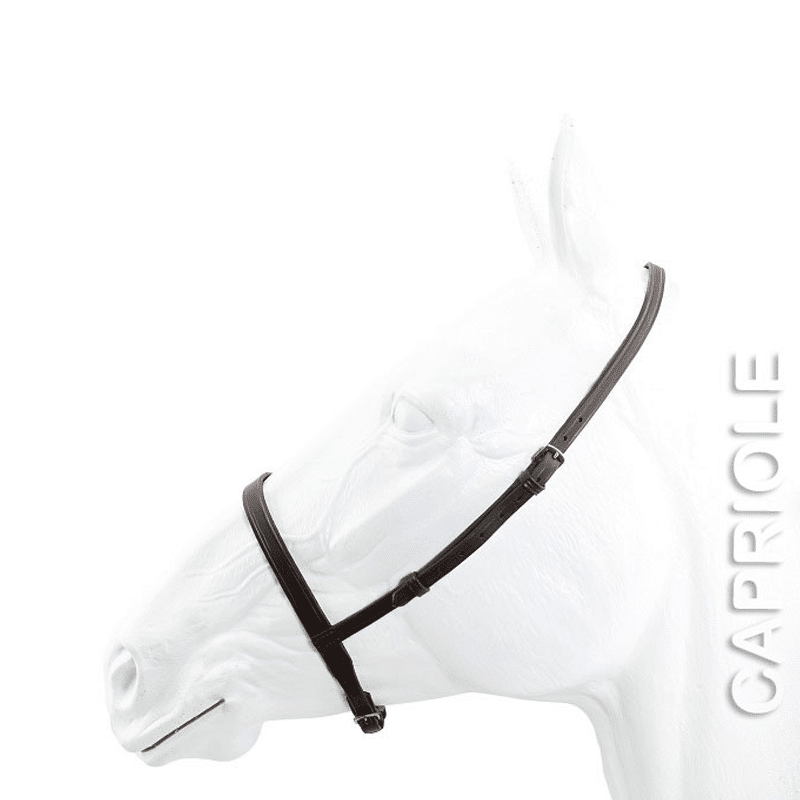 Capriole Cavesson Plain Noseband - Standard