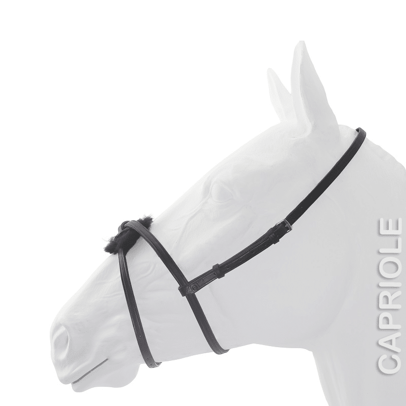 Capriole Grackle Noseband
