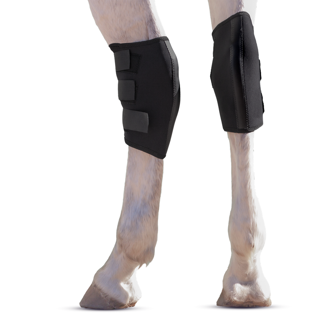 Hock Boot, Neoprene