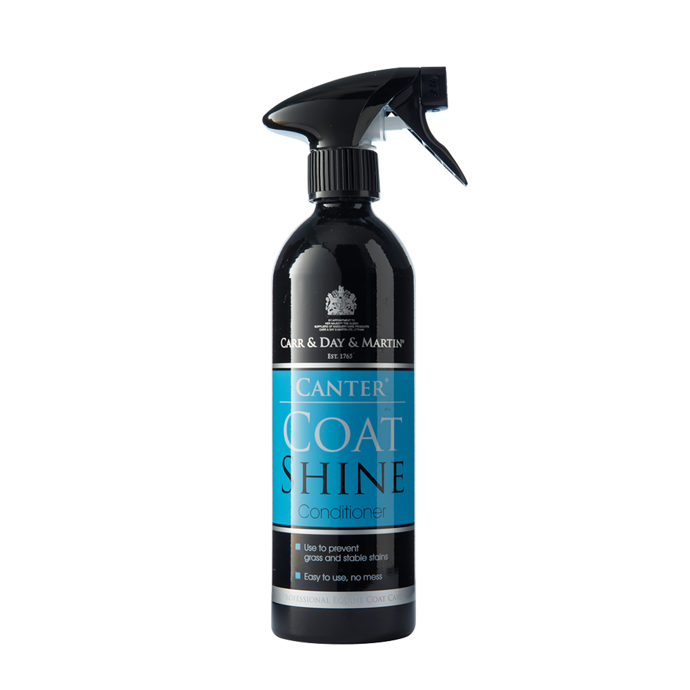 Carr Day Martin Canter Coat Shine