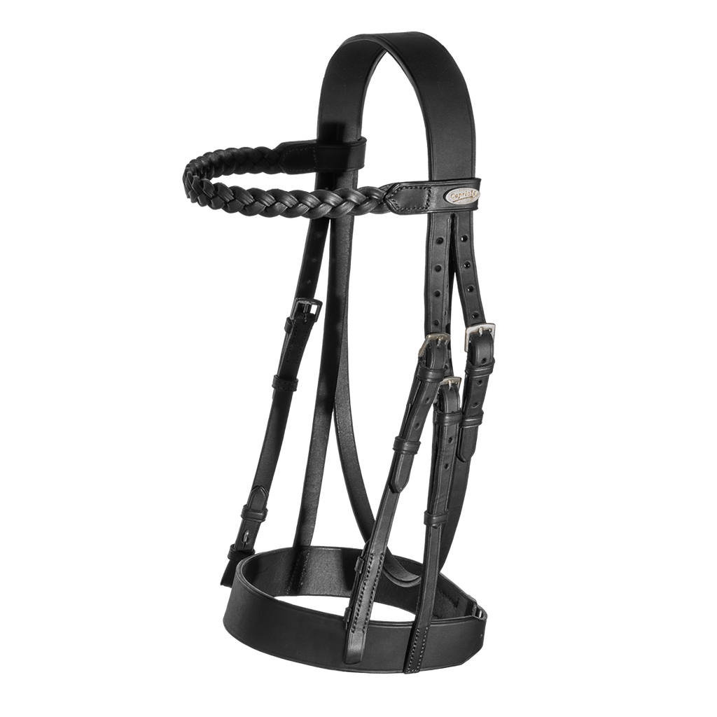Capriole Bridle Showing Laced Reins