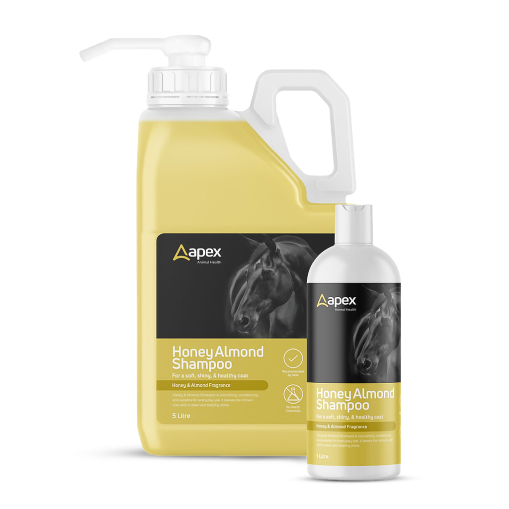 Apex Animal Health Honey & Almond Shampoo