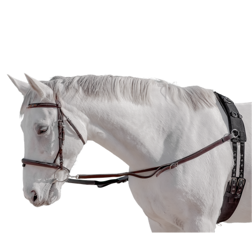 Capriole Side Reins Leather & Elastic 