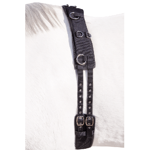 Lunging Roller Capriole Cushion Web 