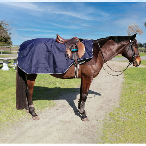 Storm Buster Waterproof Exercise Quarter Sheet