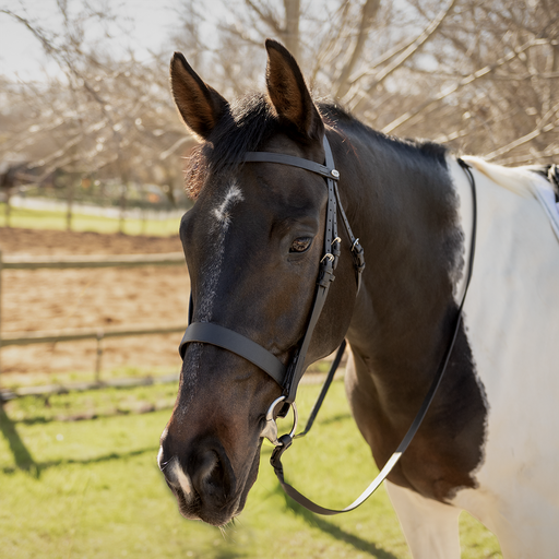 Capriole Bridle Hunter 