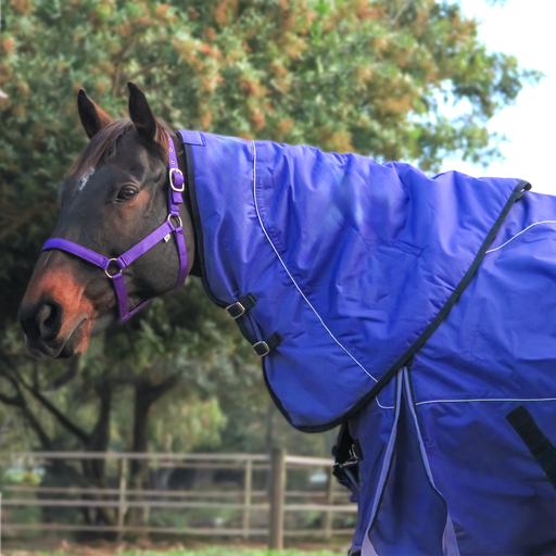 Storm Buster Turnout Neck Piece