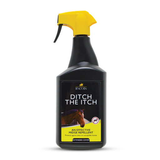 Lincoln Ditch the Itch