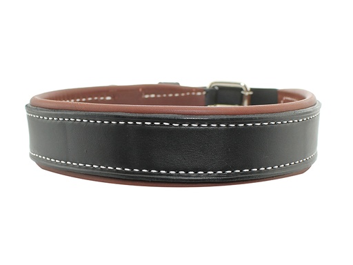 Dog Collar Leather Backed