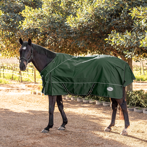Storm Buster Rain Sheet - Green