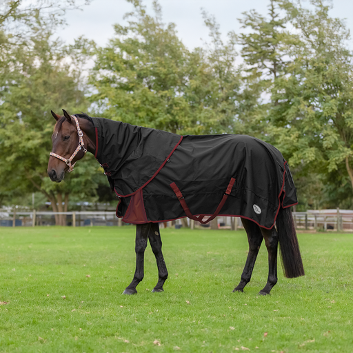 Rain Sheet & Neck Combo with Cotton Lining - Black/Burgundy