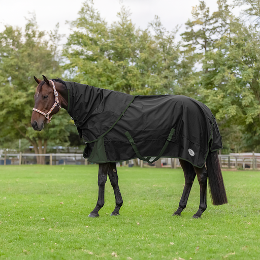 Rain Sheet & Neck Combo with Cotton Lining - Black/Green