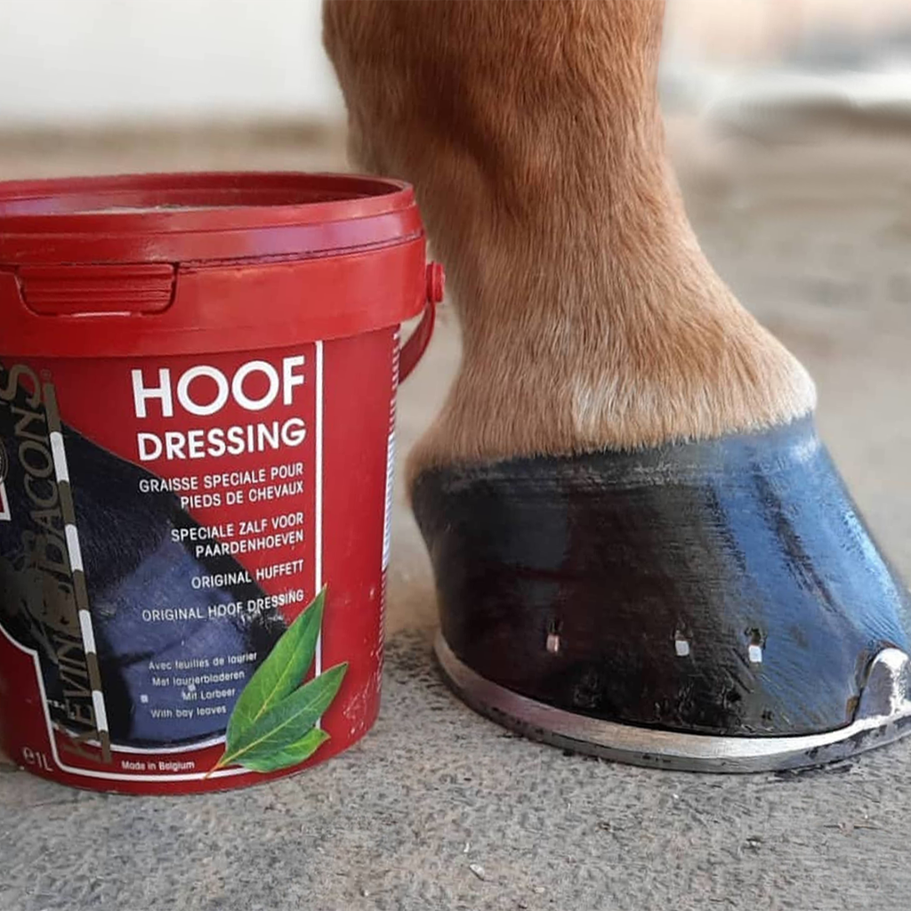 Kevin Bacon's Hoof Dressing