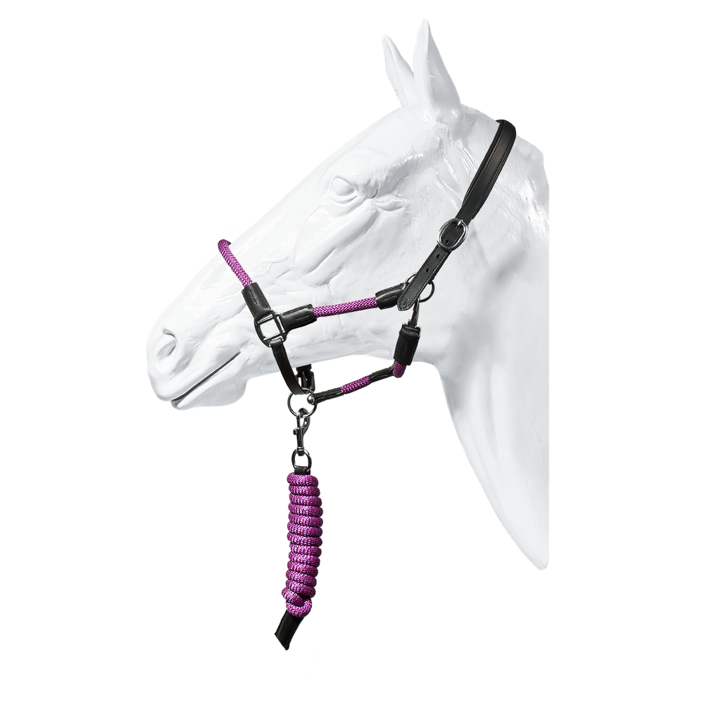 Capriole Leather & Rope, Aristo Halter