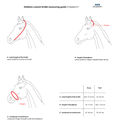 Stübben Freedom II Snaffle Bridle with Combined Noseband