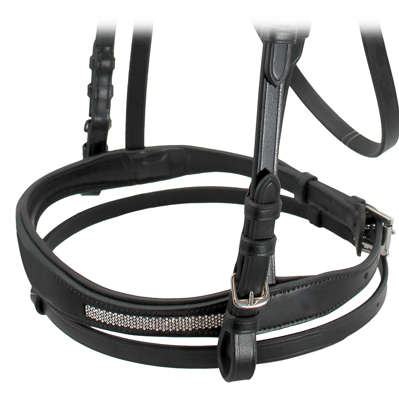 Cavalier Bridle Equestrian Rider - Cob