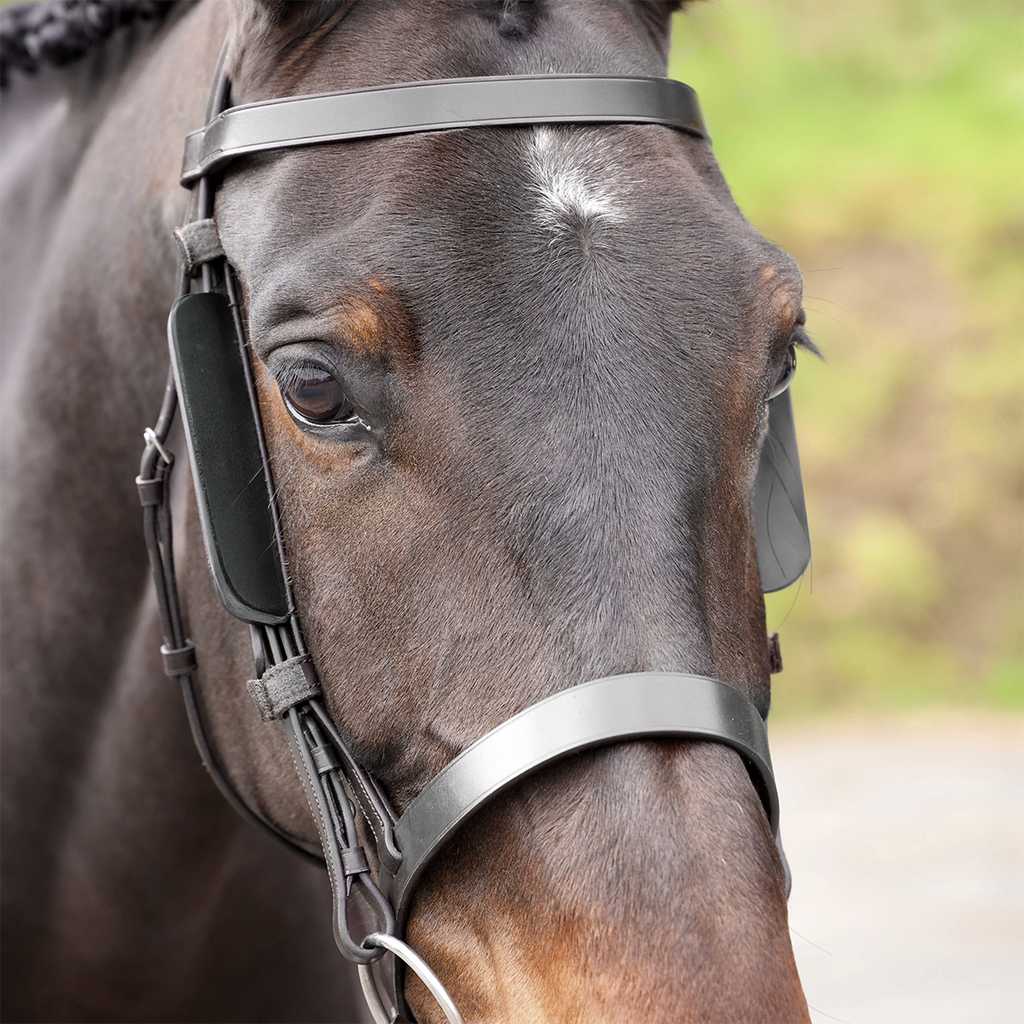 Capriole Bridle Blinkers