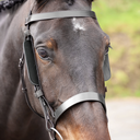 Capriole Bridle Blinkers