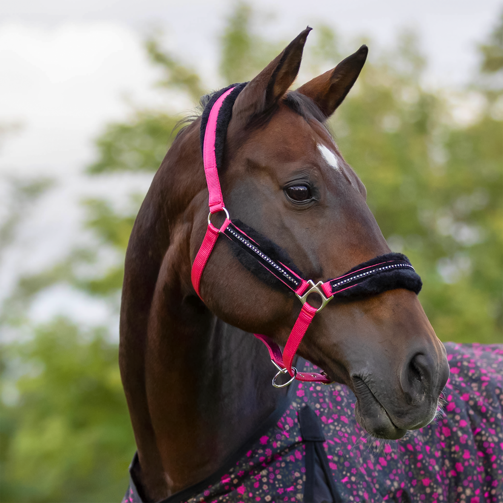 EquiStyle Stellar Halter with Lead