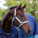 EquiStyle Horse Print Halter with Lead