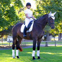 EquiStyle Numnah Argos Dressage