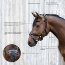 Stübben Freedom II Snaffle Bridle with Combined Noseband