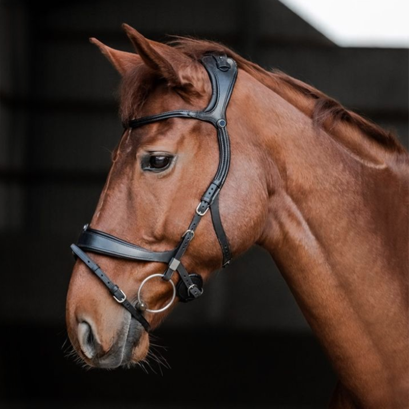 Stübben Freedom II Snaffle Bridle with Combined Noseband