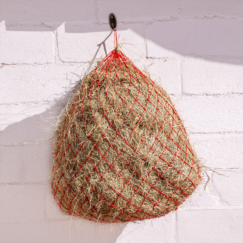Haynet, Imported