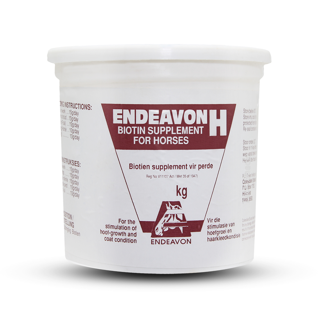 Endeavon Biotin H Supplement