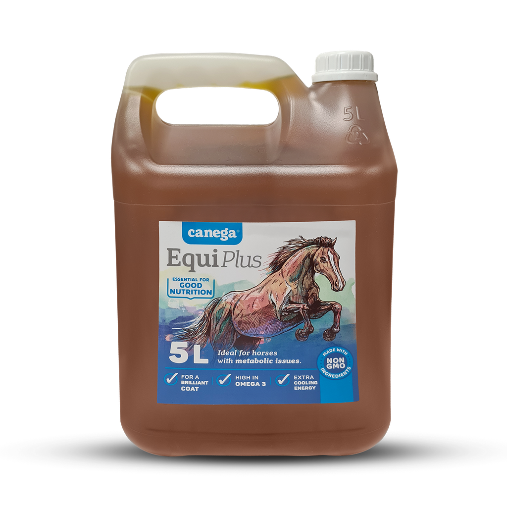 Canega EquiPlus Oil