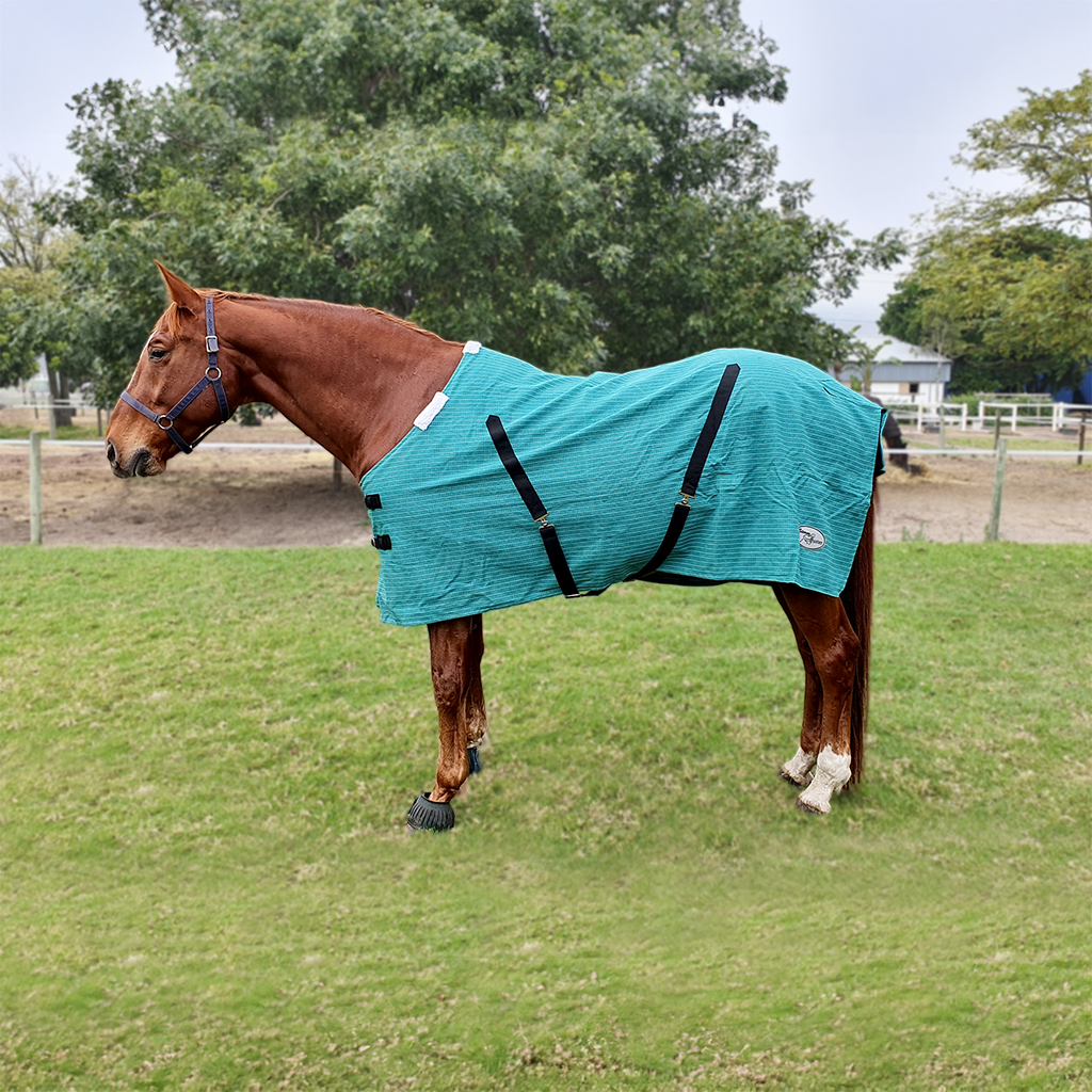 Stable Blanket, Canvas