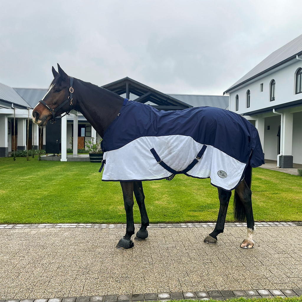 Rain & Fly Combo Blanket