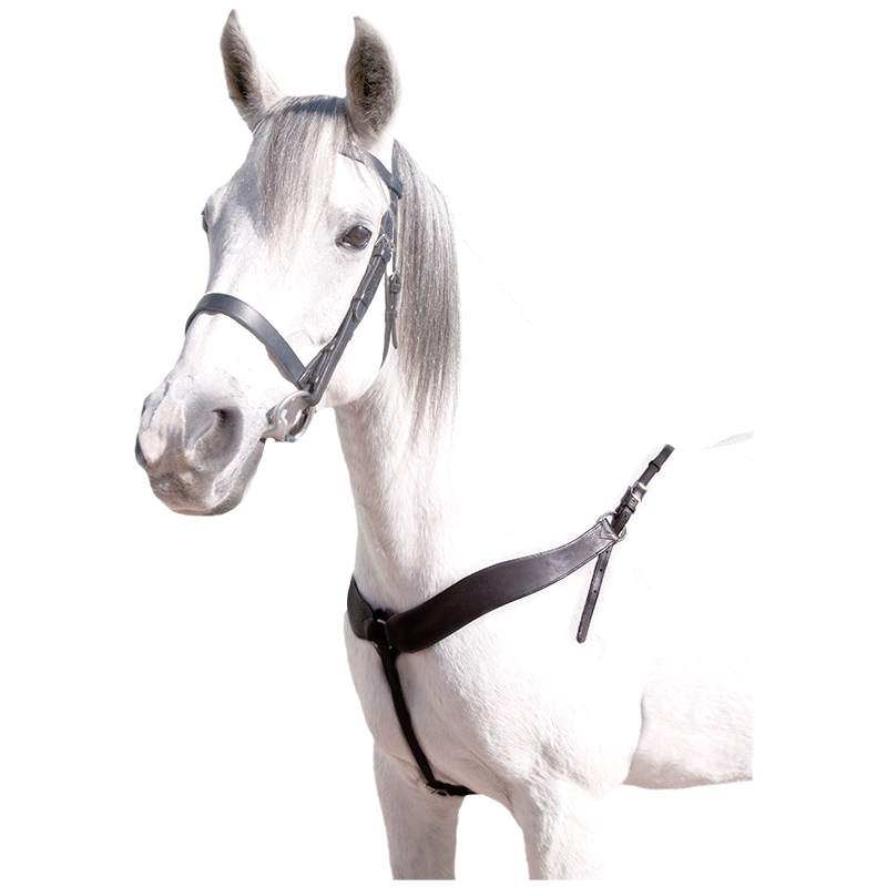 Capriole Western Breastplate