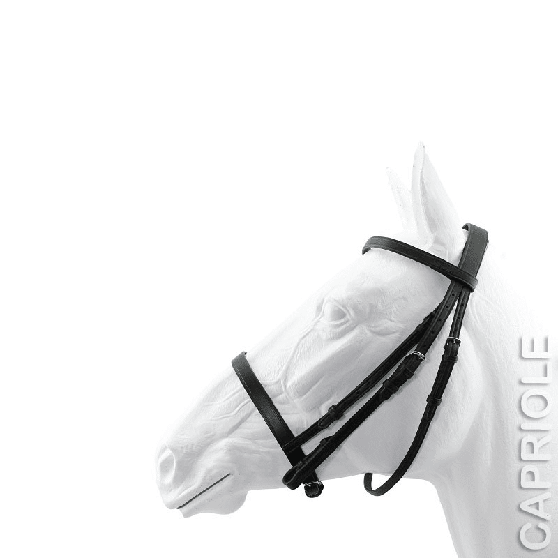 Capriole Plain Leather Bridle