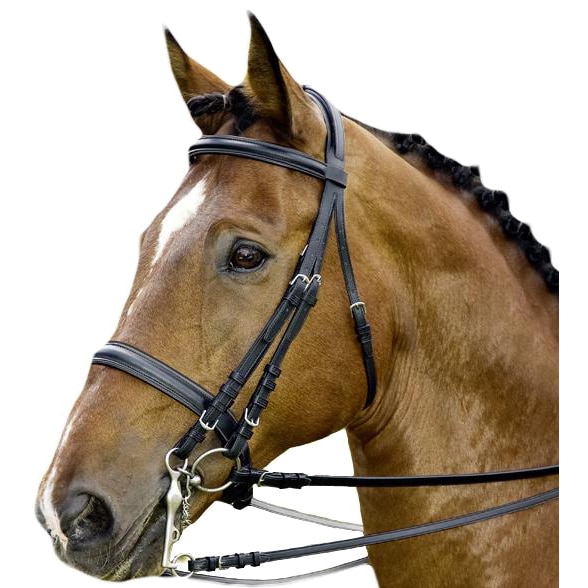 DT Bridle Weymouth Leather 