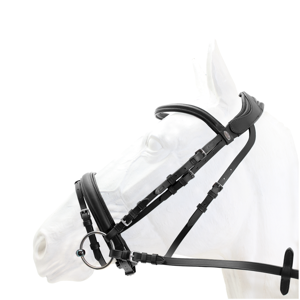 Capriole Bridle Aintree