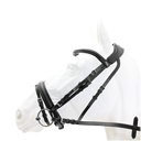 Capriole Bridle Aintree