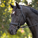 Capriole Bridle Badminton 