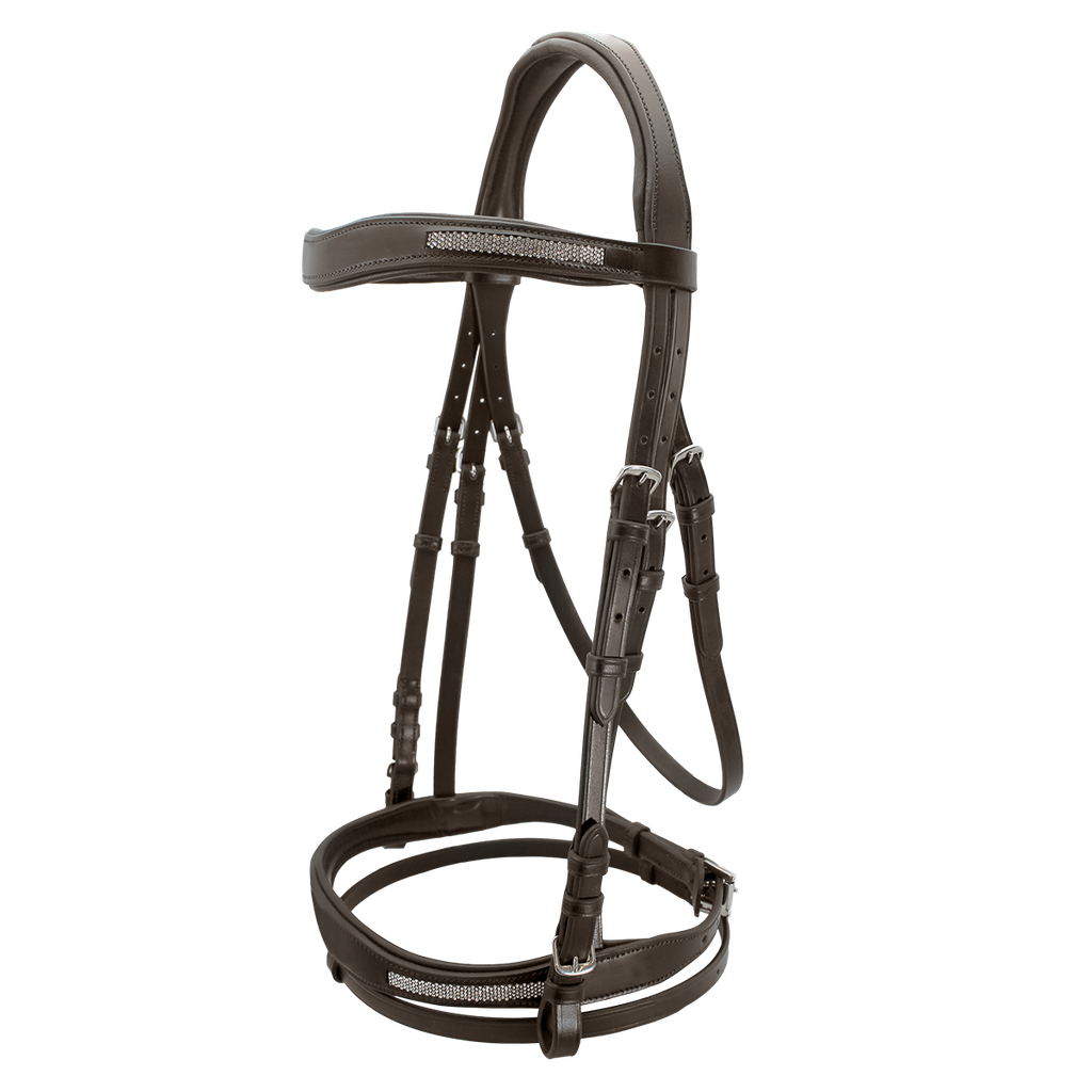 Cavalier Bridle Equestrian Rider - Cob