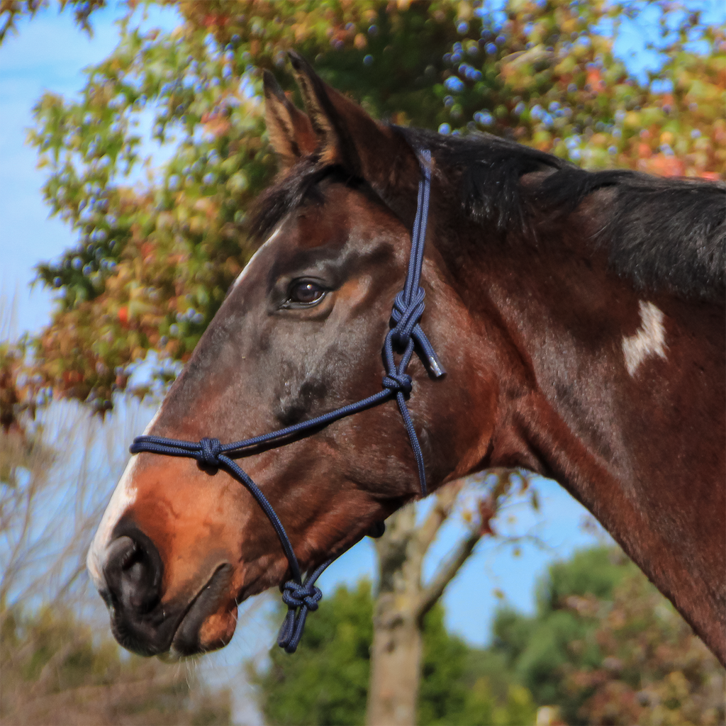 EquiStyle Knotted Rope Halter 8mm