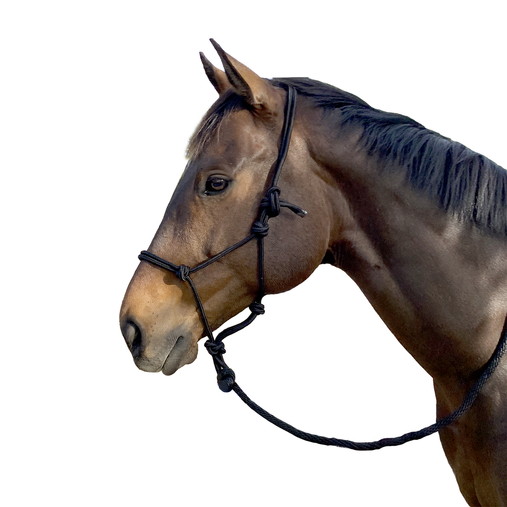 EquiStyle Knotted Rope Halter 8mm with Lead