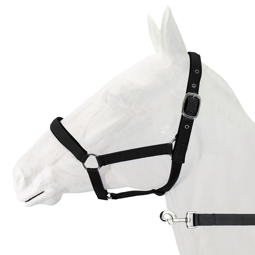 Halter Padded with Lead, Equistyle