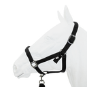 Halter Padded with Rope Lead, Equistyle