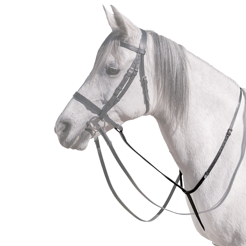 Capriole Standing Martingale